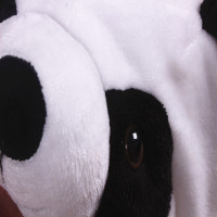 uploads/erp/collection/images/Children Clothing/Zhanxiang/XU0257005/img_b/img_b_XU0257005_5_yYNjLmlo7BVnkZ8Yx5RRPwX2ZF-iRy_6